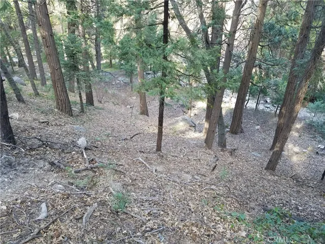 0 Valle Drive, Crestline, California 92325