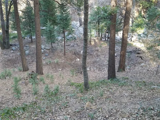 0 Valle Drive, Crestline, California 92325