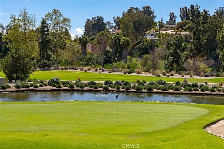 25887 Blascos 115, Mission Viejo, California 92691