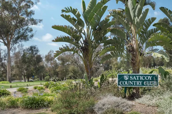 saticoy 2