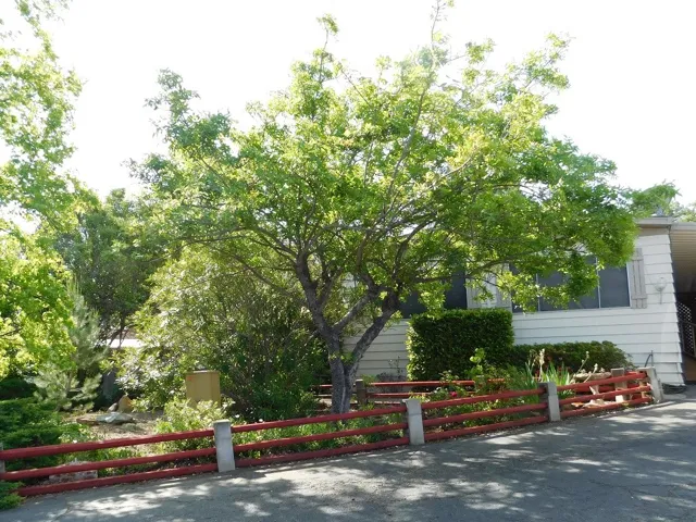 462 Lodgeview Drive, Oroville, California 95966