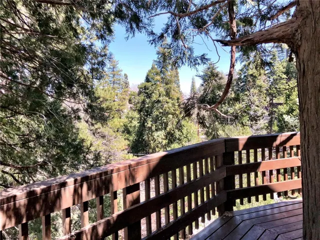 MAIN LEVEL DECK