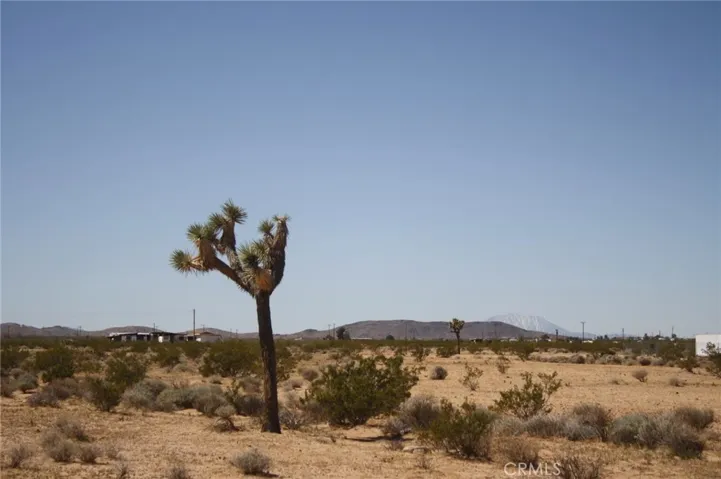 0 Reche Rd, Landers, California None