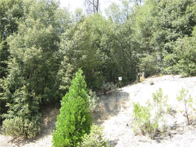 8 N Cedar Vista Circle, Bass Lake, California 93604