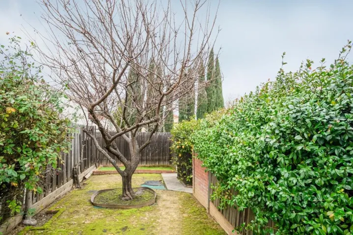 351 Jeter Street, Redwood City, California 94062