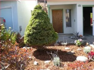 , Daly City, California 94015
