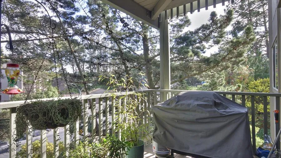 , Daly City, California 94015 home-pic-11