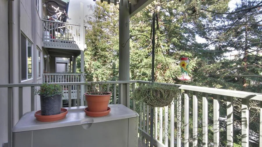 , Daly City, California 94015 home-pic-12