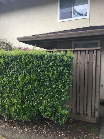 104 Castillion Terrace, Santa Cruz, California 95060