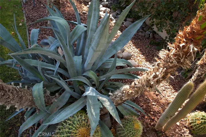 78985 Via Trieste, La Quinta, California 92253