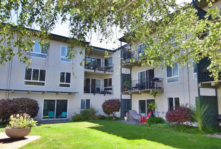 845 N Humboldt Street 305, San Mateo, California 94401