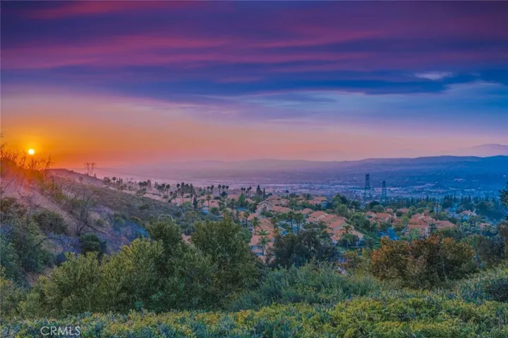 829 S Sapphire Lane, Anaheim Hills, California 92807