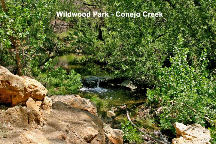 Conejo Creek 1