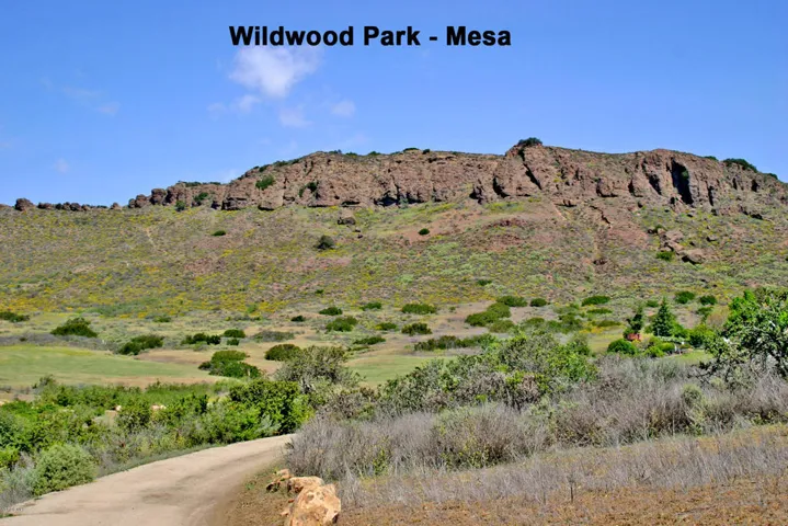 Wildwood Mesa