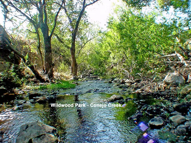 Creek view 1a