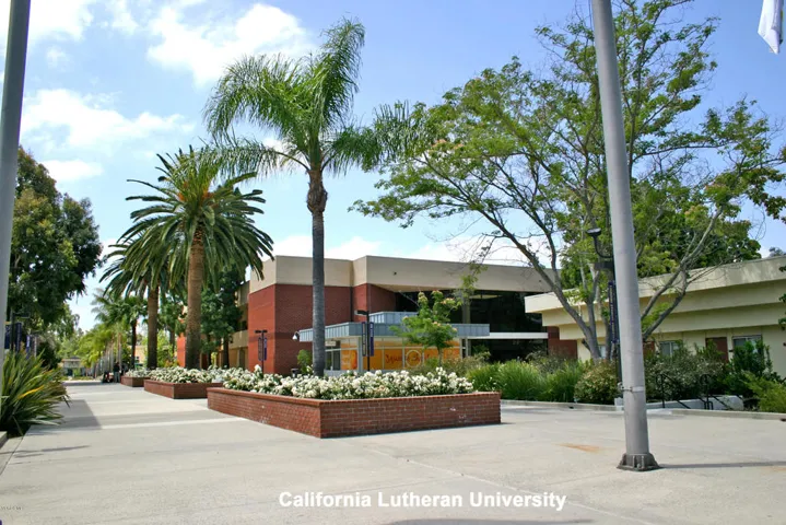 CLU6