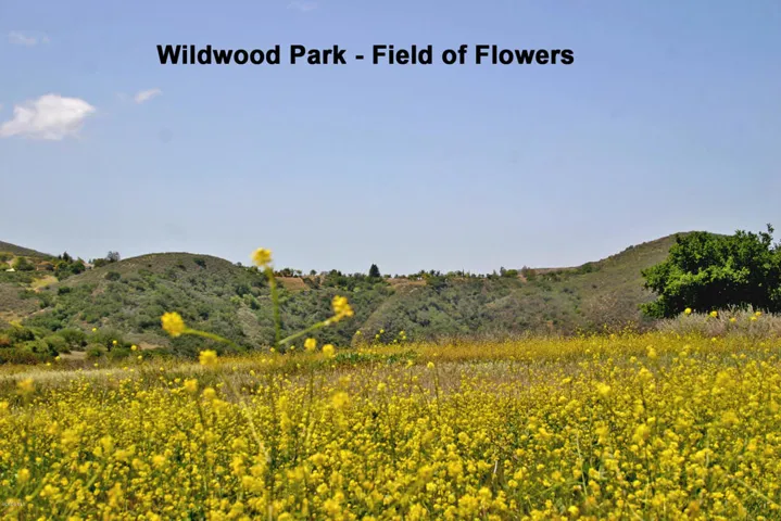 Fields