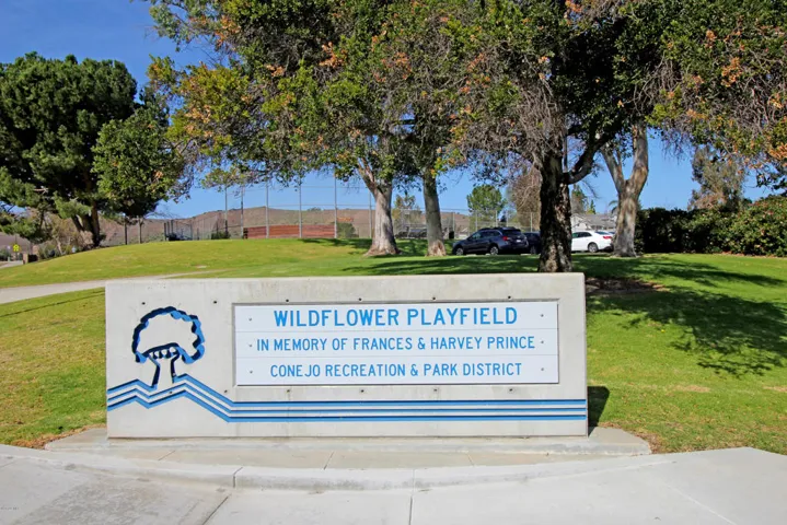 12WildflowerPlayfields1