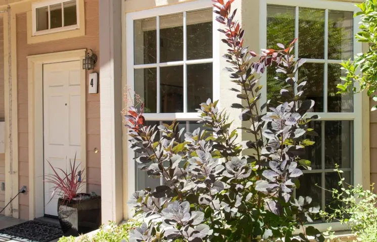 230 Bryant Street 4, Mountain View, California 94041