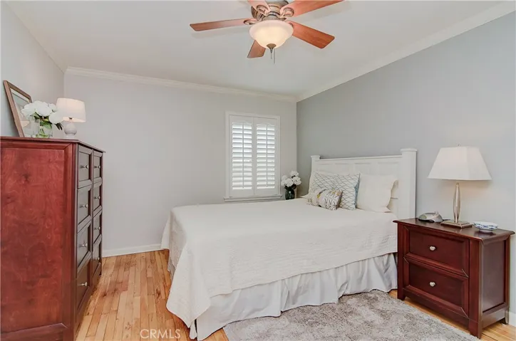 Master bedroom with accent wall, ceiling fan, and perfectly situated window with plantation shutters.