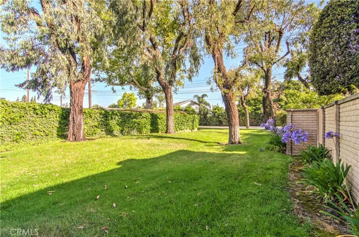 This great space is just outside your gate...what a great play area!