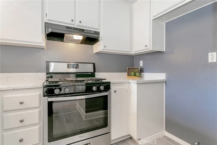 Upgraded Kitchen with Brand New Stainless Steel Appliances, Stove, Hood and Dishwasher.