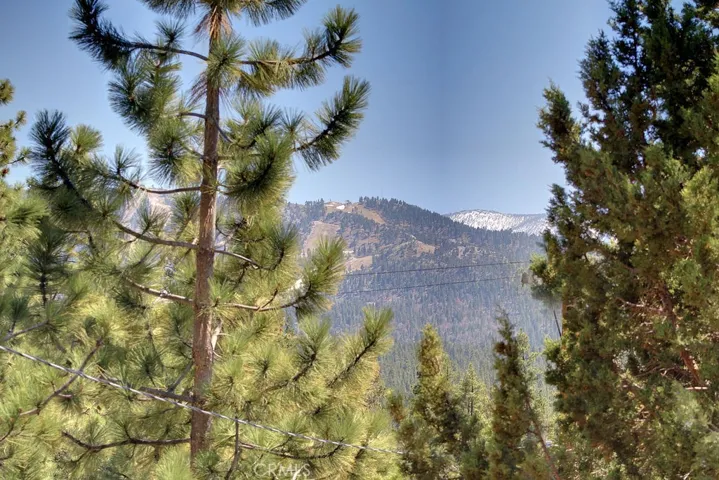 943 Antelope Mountain Drive, Big Bear, California 92314