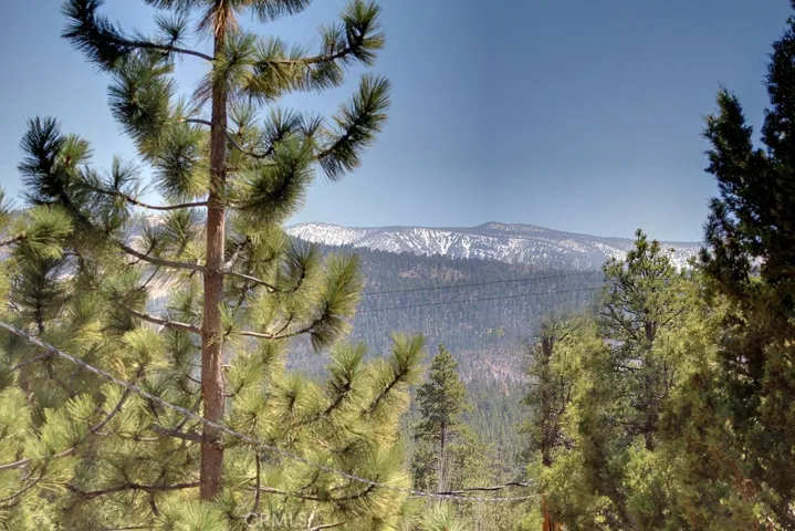 943 Antelope Mountain Drive, Big Bear, California 92314