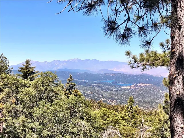 VIEW FROM DECK