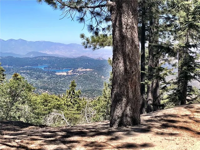 VIEW FROM LOT