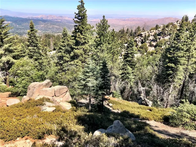 VIEW FROM DECK