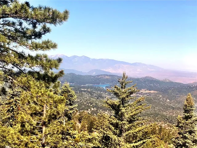 VIEW FROM DECK