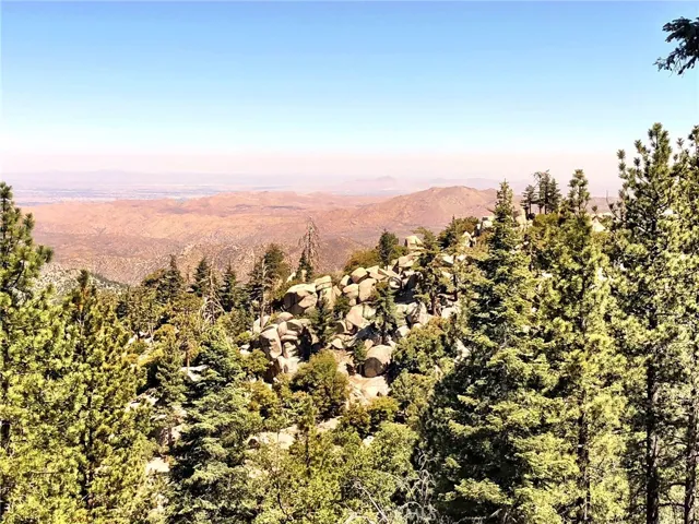 VIEW FROM DECK