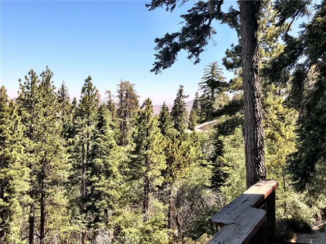 VIEW FROM LOT