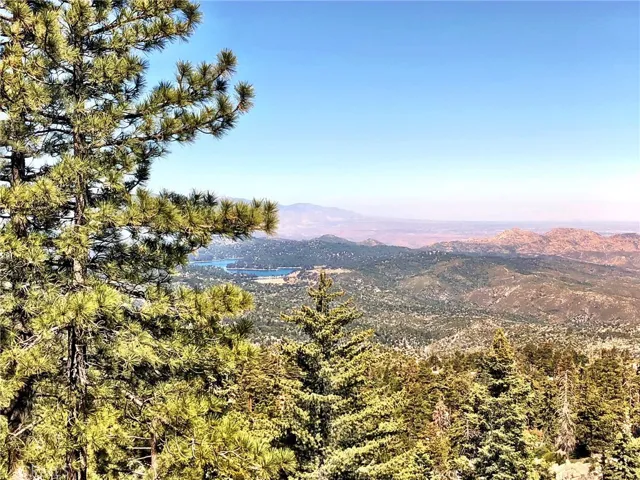 VIEW FROM DECK