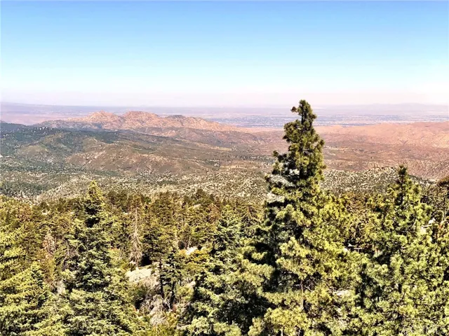 VIEW FROM DECK