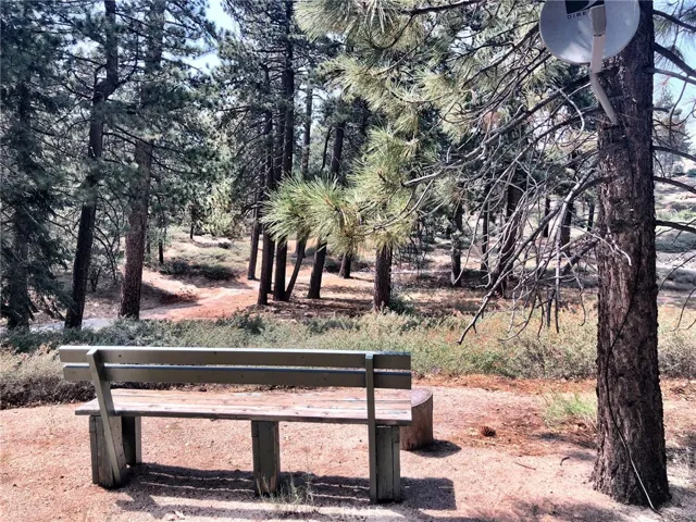 VIEW FROM REAR LOT