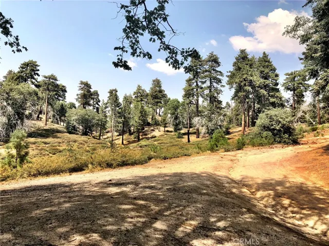 VIEW FROM CABIN