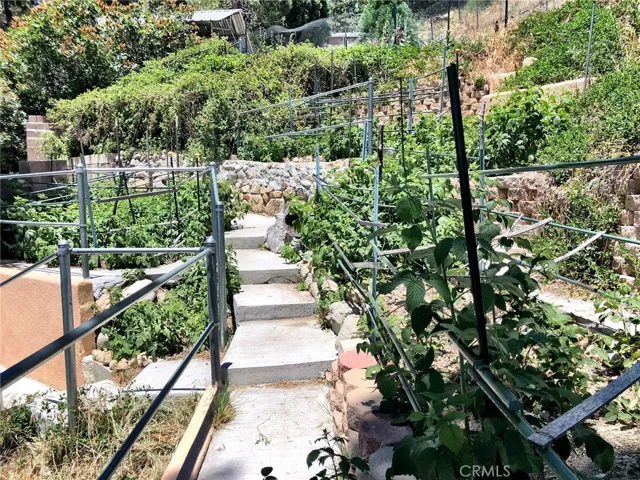 GARDENS, TERRACING & PATH