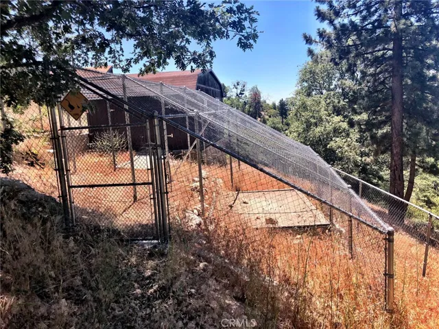 ENCLOSED AVIARY/CHICKEN COOP