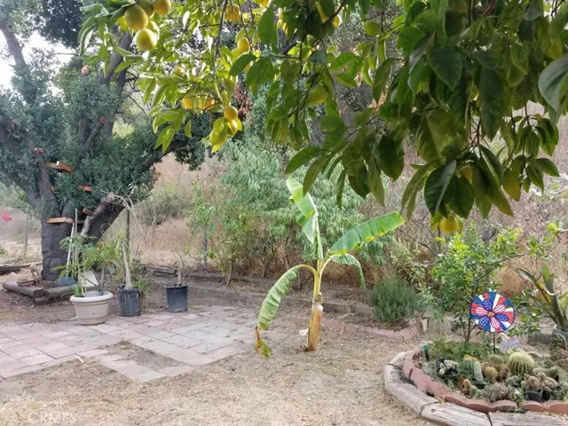 901 6th Street 214, Hacienda Heights, California 91745