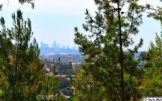 Daytime View of Downtown LA