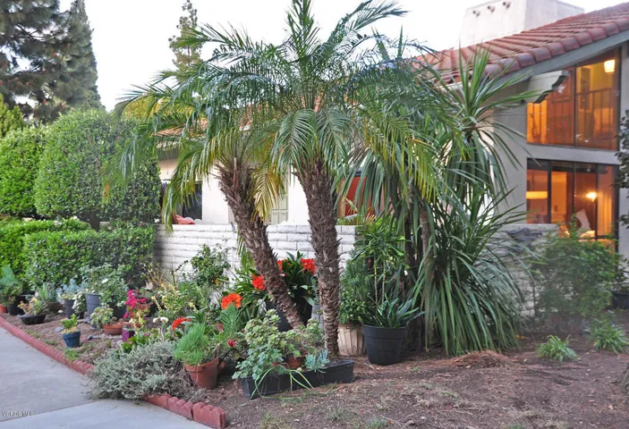 outside1