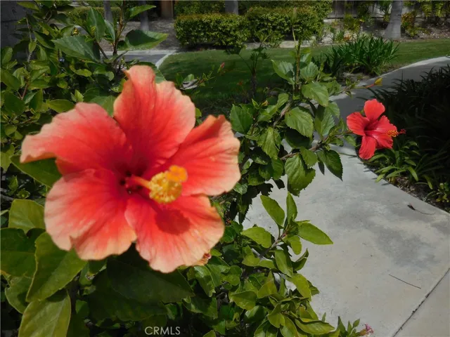 Windwards offering walkways, greenbelts, well-manicured resort-style community friendly to walking and feels like a neighborhood with friendly residents.