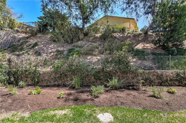 Mulched and easy care now.. Your future Orchard or Veggie Garden?
