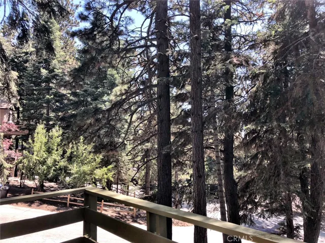 VIEW FROM DECK