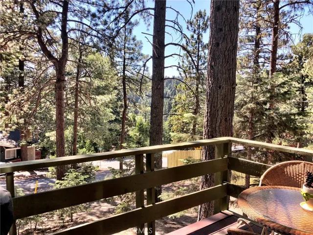 VIEW FROM DECK