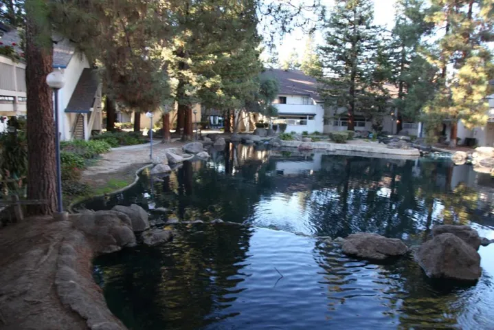 1117 Indian Summer Court 4, San Jose, California 95122