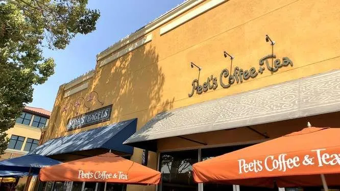 1716 Laurelwood Drive, San Jose, California 95125