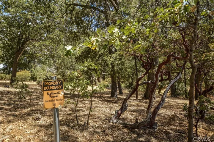 1223 Yellowstone Drive, Lake Arrowhead, California 92352
